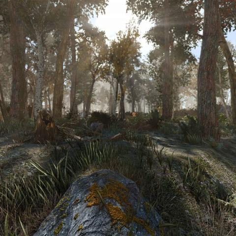 惊悚表情大揭秘！《辐射4》面部MOD打造惊心动魄新体验