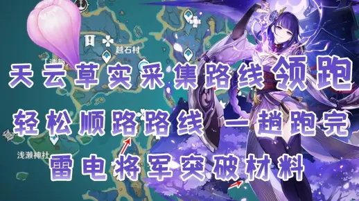 《原神》雷电将军突破必备：高效采集路线攻略解析