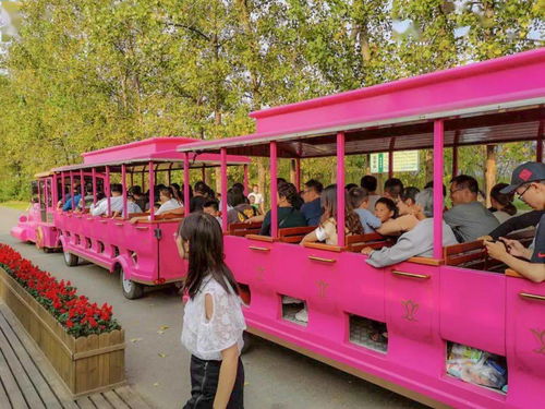 《自撮》攻略全解析：深度揭秘游戏全流程技巧解析