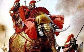 《三国志13》神户祭展：羽扇亮相，历代设定大揭秘！