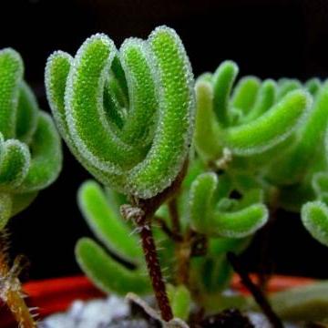 《辐射4》全球同步发售，中文版368元震撼来袭，畅享独特游戏体验