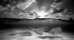 《梦醒溪舟尾波揭秘：探寻《原神》4.2新篇章价值奥秘》