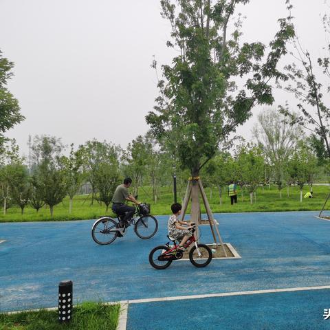 《职业滑板高手5》2D漫画风截图首曝，视觉盛宴来袭