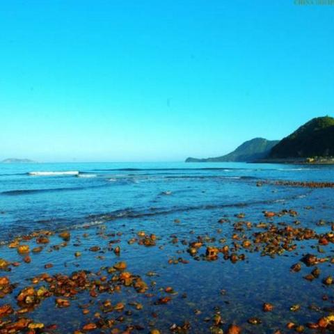 KO微风岛屿攻略:掌握高效打法,轻松制胜新技巧 KO微风岛屿攻略:掌握高效打法,轻松制胜新技巧