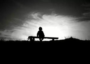 《永不孤单》7月9日欧洲首登,温馨陪伴新体验 《永不孤单》7月9日欧洲首登,温馨陪伴新体验