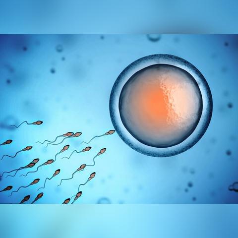 《人类分裂》25分钟演示深度解析:揭秘游戏精髓! 《人类分裂》25分钟演示深度解析:揭秘游戏精髓!