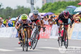 《2015自行车队掌舵者，打造巅峰赛事新纪元》