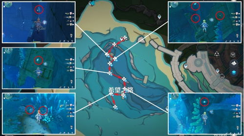 夏洛蒂突破必备！苍晶螺高效采集攻略解析