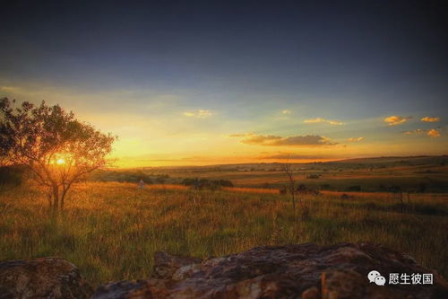 夕阳映照仙剑6,神秘草原风光揭秘新体验 夕阳映照仙剑6,神秘草原风光揭秘新体验