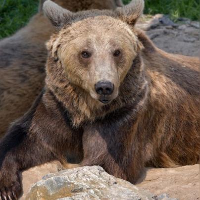 视角自由畅游,3D牧场物语失落谷全新体验升级 视角自由畅游,3D牧场物语失落谷全新体验升级