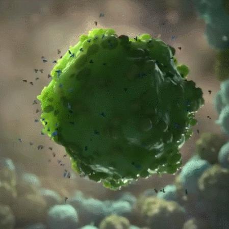 《细胞分裂》真人电影震撼来袭，揭秘未来战争新篇章！