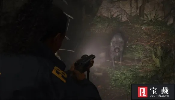 信号枪弹药刷法攻略：解锁《心灵杀手2》全新玩法秘籍