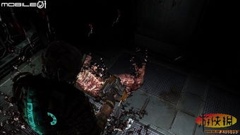 黑白风暴降临,PSV版《白夜》恐怖求生新篇章震撼开启 黑白风暴降临,PSV版《白夜》恐怖求生新篇章震撼开启