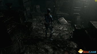 《生化危机重制版》PC画质升级体验:高与低,视觉差异微乎其微 《生化危机重制版》PC画质升级体验:高与低,视觉差异微乎其微