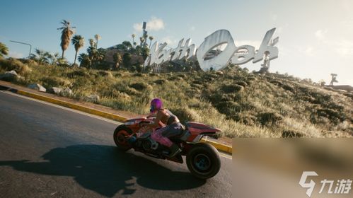 赛博朋克2077丽娜摩托轻松入手攻略,解锁独特坐骑新体验 赛博朋克2077丽娜摩托轻松入手攻略,解锁独特坐骑新体验