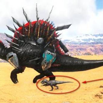 荒漠枪手技能揭秘：命运方舟实机演示新视角