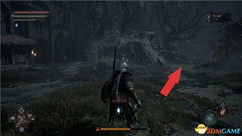 《堕落之主》全BOSS攻略揭秘，结局解析新视角探秘