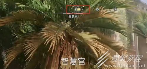 《刺客信条幻景》智慧宫装备箱解锁攻略，快速开启！