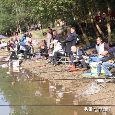 超级明星争霸赛：全新竞技盛宴