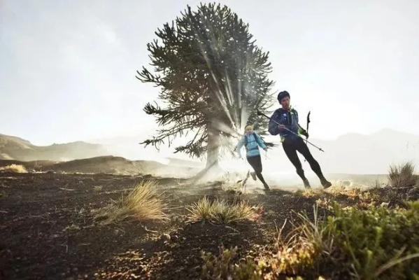 《自然主义》新篇章：探索未知，唤醒生态觉醒之旅