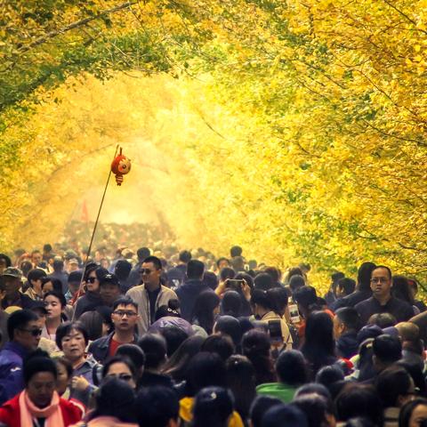 2014年度十大游戏瞬间，揭秘视觉盛宴新高度