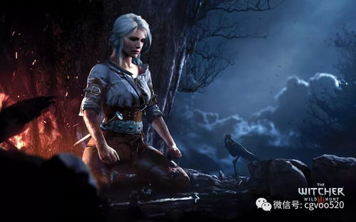 《巫师3：狂猎》角色全解析，深度挖掘游戏魅力新篇章