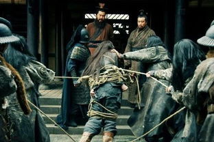 伊战老兵新装亮相,霸气服饰揭秘科技魅力 伊战老兵新装亮相,霸气服饰揭秘科技魅力