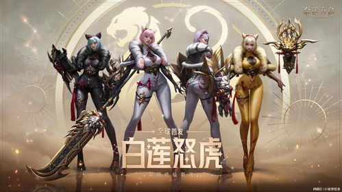 《命运方舟》墨灵技能大揭秘:实机演示揭示新价值 《命运方舟》墨灵技能大揭秘:实机演示揭示新价值