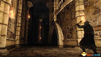 《黑暗之魂2》终极预告曝光,揭秘硬派ARPG新境界! 《黑暗之魂2》终极预告曝光,揭秘硬派ARPG新境界!