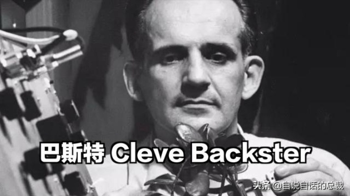 菊爆巴特斯传奇，揭秘32郎新篇章