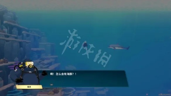 《潜水员戴夫》全攻略：深度解析任务流程图文秘籍