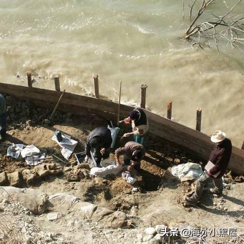 冰河区速刷鲨鱼攻略：高效鲸鱼、大鱼捕获技巧分享