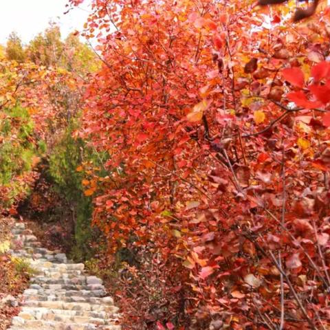 《火炬之光2》周末免费畅玩，独家揭秘新价值体验！