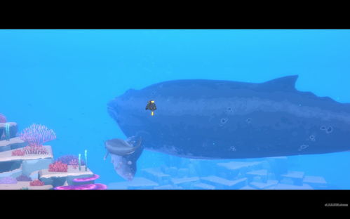 《潜水员戴夫》深度揭秘:沉浸式探险体验,趣味十足! 《潜水员戴夫》深度揭秘:沉浸式探险体验,趣味十足!