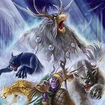 德鲁伊狼头必出绝技揭秘，高效升级新攻略！