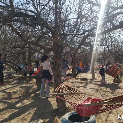 《动物迷城》揭秘：沉浸式玩法解析，探秘趣味无限！