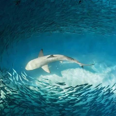 《暗黑破坏神4》威能系统深度解析：解锁全新战斗奥秘