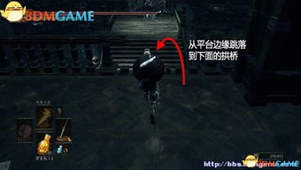 《暗黑4》恶魔玫瑰高效攻略,遗忘之魂收集新技巧揭秘 《暗黑4》恶魔玫瑰高效攻略,遗忘之魂收集新技巧揭秘