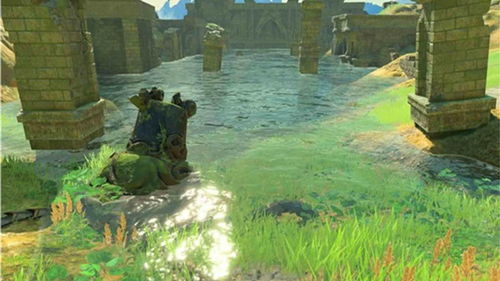 《塞尔达传说》生命松露藏匿秘境,独家攻略助你一网打尽! 《塞尔达传说》生命松露藏匿秘境,独家攻略助你一网打尽!