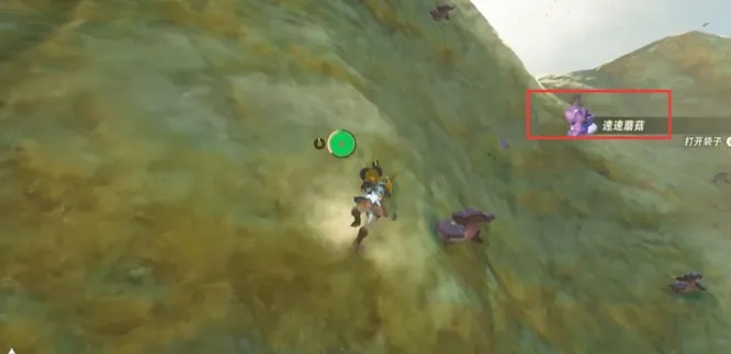 《塞尔达传说》岩八爪怪藏匿秘境，探秘新价值攻略曝光