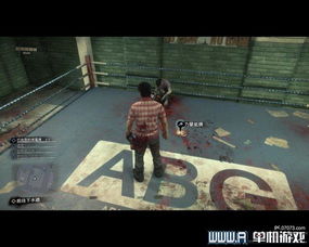 《丧尸围城3》惊爆:十大结局揭秘,全新价值体验揭晓 《丧尸围城3》惊爆:十大结局揭秘,全新价值体验揭晓