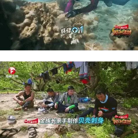 植物大战僵尸2:全新升级,体验极限挑战! 植物大战僵尸2:全新升级,体验极限挑战!