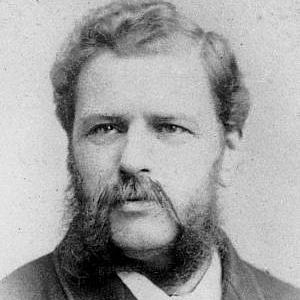 血统之谜揭开，谎言乌鸦真相探秘