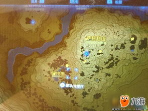 《塞尔达传说》速速莲蓬高效收集攻略，快速升级必备！