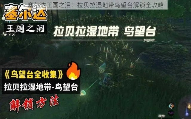 《塞尔达传说王国之泪》拉贝拉湿地鸟望台解谜攻略，解锁全新探索奥秘