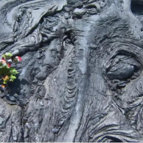 《塞尔达传说》地下魔之根全破攻略：地底树根分布秘境揭秘