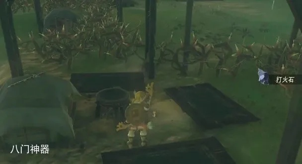 《塞尔达传说》拉贝拉湿地鸟望台解锁攻略揭秘