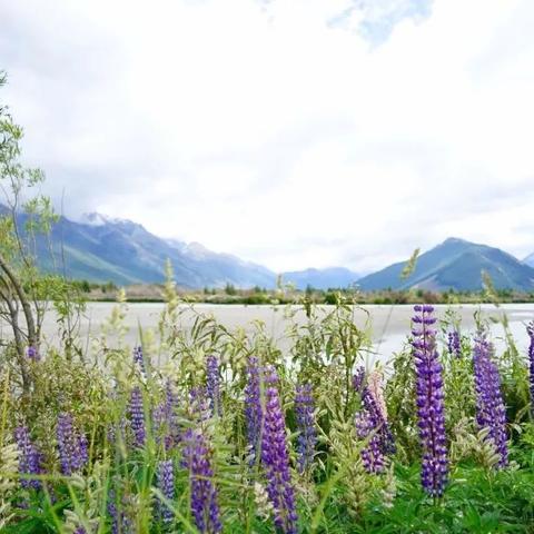 《真实骑马激战再现，血性《指环王》战争史诗全新诠释》