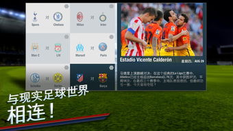 贝尔封面《FIFA 14》捕捉巅峰，动作演绎足球荣耀新篇章