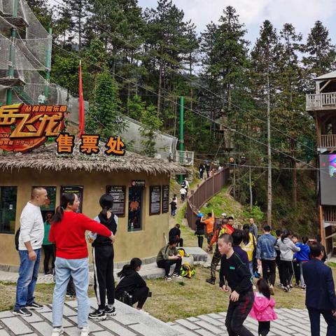 时空穿梭奇遇记：植物大战僵尸2中文版“奇妙”同步启航